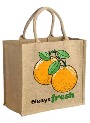 Grocery Bag